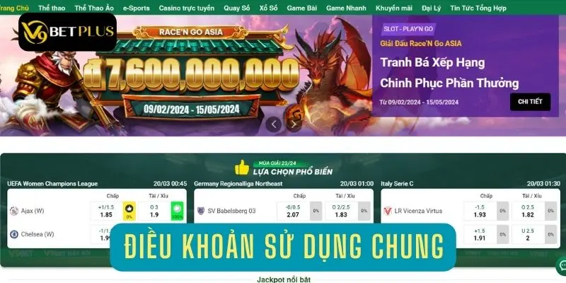 Điều khoản chung của nhà cái V9bet