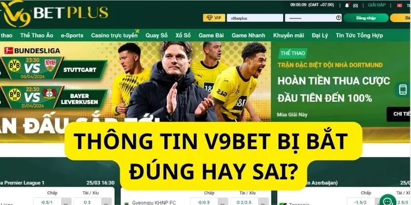 Thông tin V9bet bị bắt là đúng hay sai?