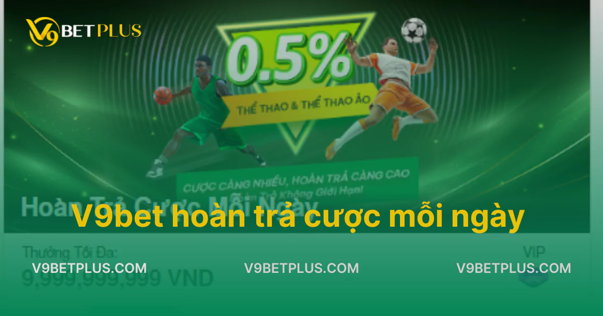 V9bet hoàn trả cược mỗi ngày hấp dẫn dành cho các cược thủ